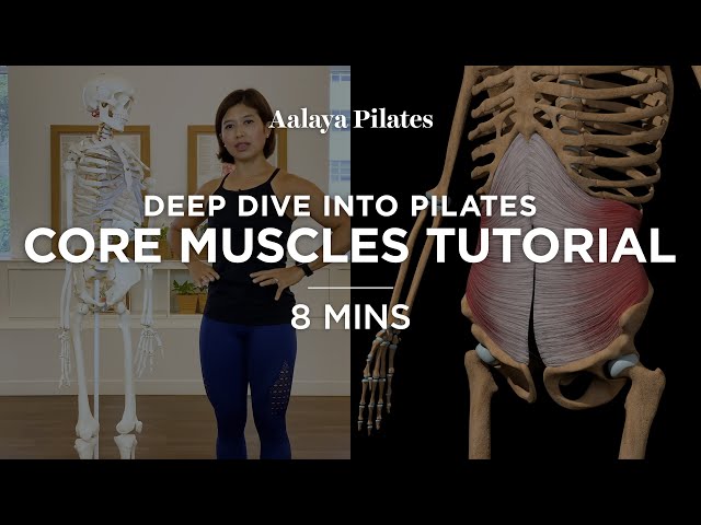 Discover your Core Muscles - Deep Dive into Pilates Series - Video 5/10