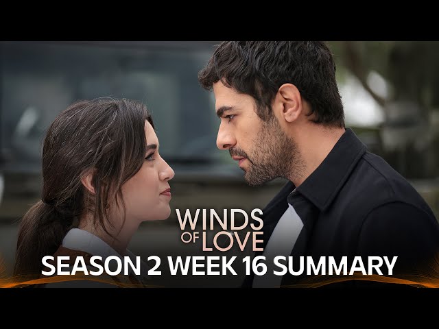 Winds of Love Season 2 Week 16 Summary  | Rüzgarlı Tepe 2. Sezon 16. Hafta Özeti