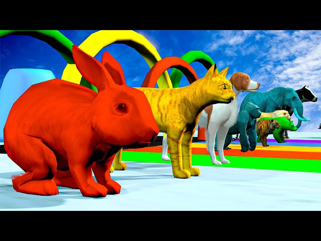 Paint Animals Crossing Fountain Animals Duck Gorilla Cow Tiger Lion Elephant Funny Wild Animal Video