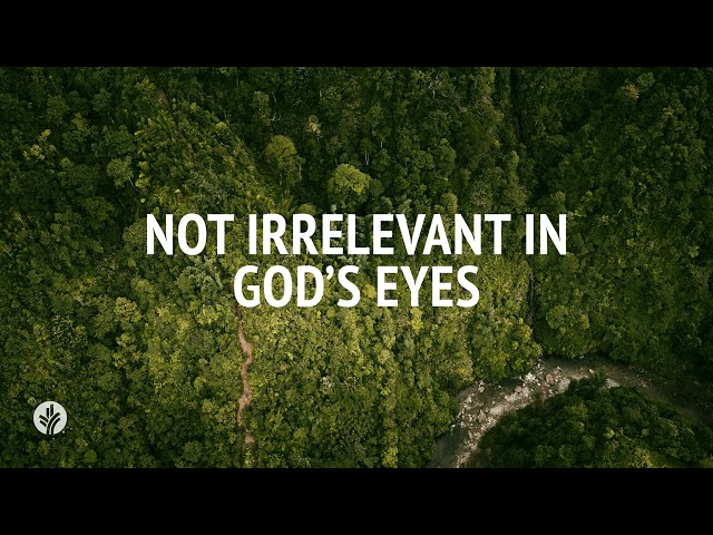 Not Irrelevant in God's Eyes | Audio Reading | Our Daily Bread Devotional | February 7, 2025