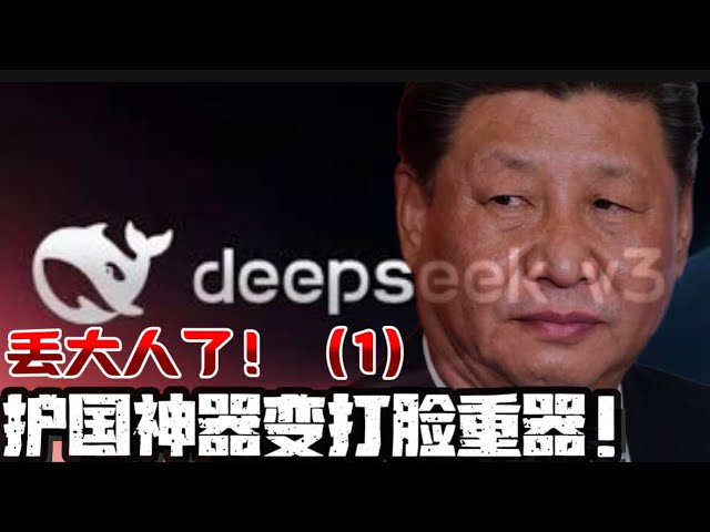 护国神器突变打脸重器  deepseek丢大人了！