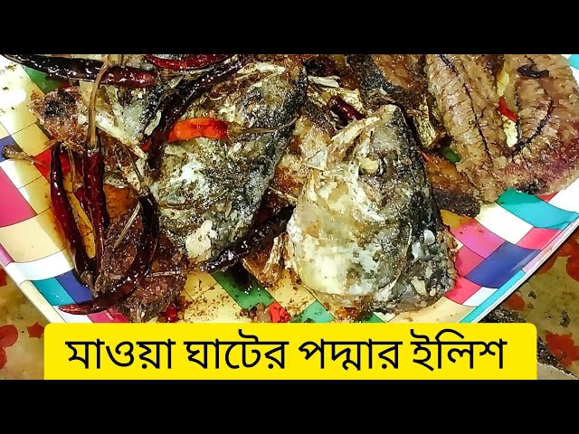 মাওয়া ঘাটে পদ্মার ইলিশ স্বাদে অতুলনীয়|Hilsha Fish| Mawa Ghat|Imrul Kaes|