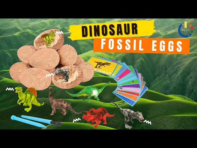 Dinosaur Fossil Eggs - OnPlay