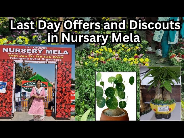 Last Day Discounts and Offers in 17th Grand NURSERY MELA 2025 in HYDERABAD