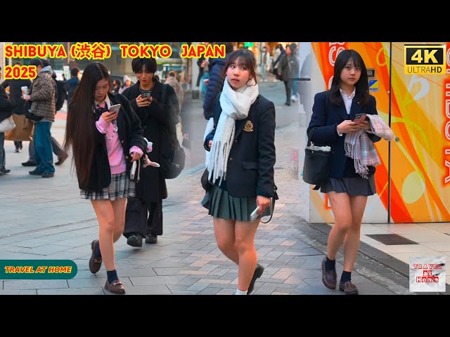 4k hdr Japan travel 2025 | Walk in Shibuya (渋谷) Tokyo Japan |  Relaxing Natural City ambience